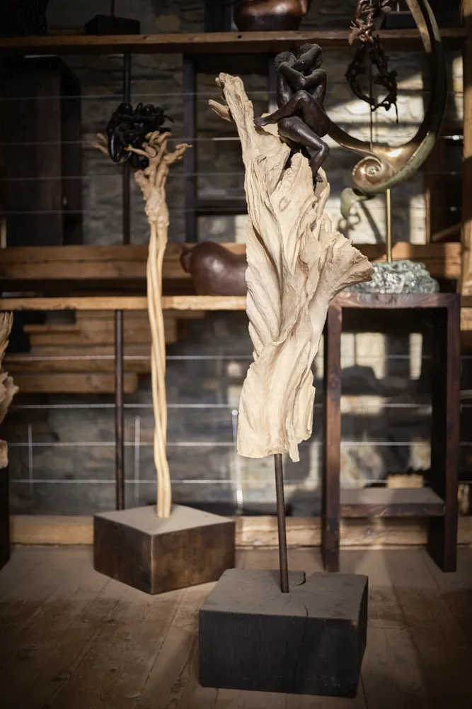 Vue sur quelques sculptures en bois, bronze et terre cuite